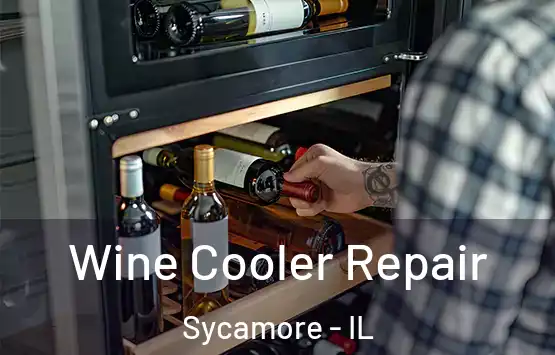  Wine Cooler Repair Sycamore - IL