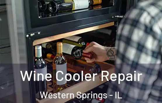  Wine Cooler Repair Western Springs - IL
