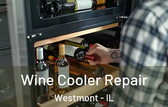  Wine Cooler Repair Westmont - IL