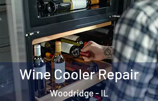  Wine Cooler Repair Woodridge - IL