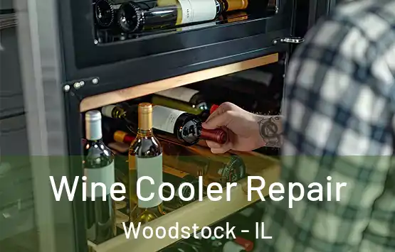  Wine Cooler Repair Woodstock - IL